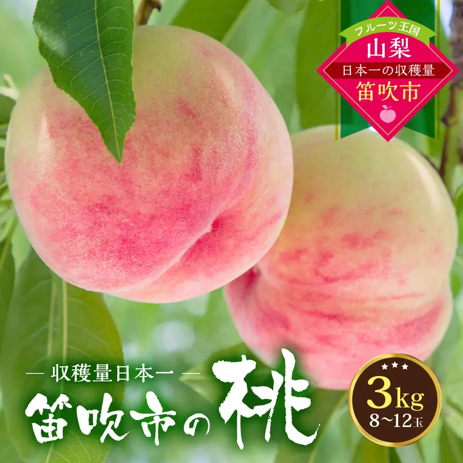 【2026年発送★先行予約】桃の一大産地！笛吹市産旬の桃3kg 167-011-26y