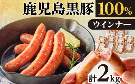 鹿児島黒豚ウインナー10P K161-016 肉 豚肉 惣菜 総菜 冷凍
