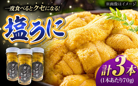 ガンガゼ塩うに 70g×3本 / ウニ 雲丹 五島市 / うた丸 [PGA001] ウニ