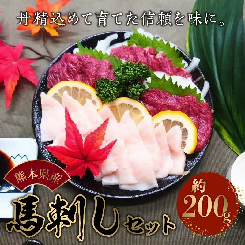 熊本県産馬刺しセット約200ｇ（赤身100ｇ・コウネ100ｇ） ※タレ、生姜付 _U118-0005
