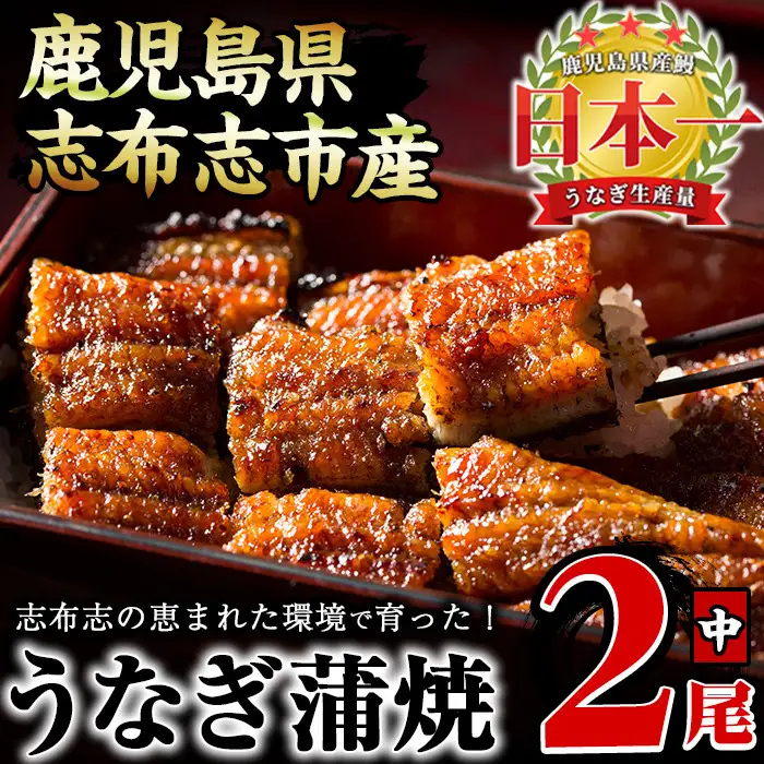 うなぎの大楠＜中＞2尾セット計260g(130g×2) うなぎ 鰻 ウナギ 2尾 国産 九州産 蒲焼き かばやき 冷凍 うな重 ひつまぶし タレ 山椒 真空パック ランキング 人気 a4-065