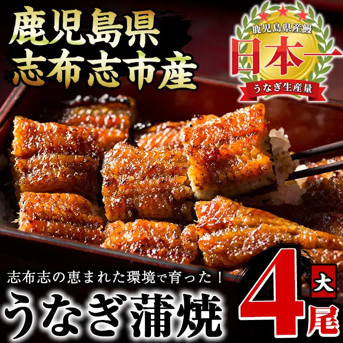 うなぎの大楠＜大＞4尾セット計600g(150g×4) うなぎ 鰻 ウナギ 4尾 国産 九州産 蒲焼き かばやき 冷凍 うな重 ひつまぶし タレ 山椒 真空パック ランキング 人気 b8-026