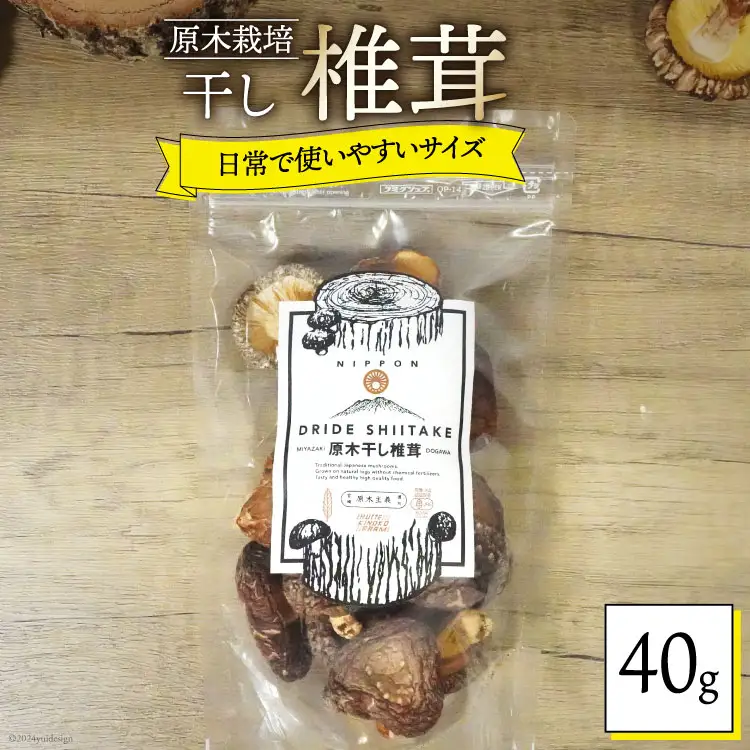 宮崎県産 乾燥 椎茸 40g×1袋 チャック袋入 [ HUTTE 宮崎県 美郷町 31ao0011]