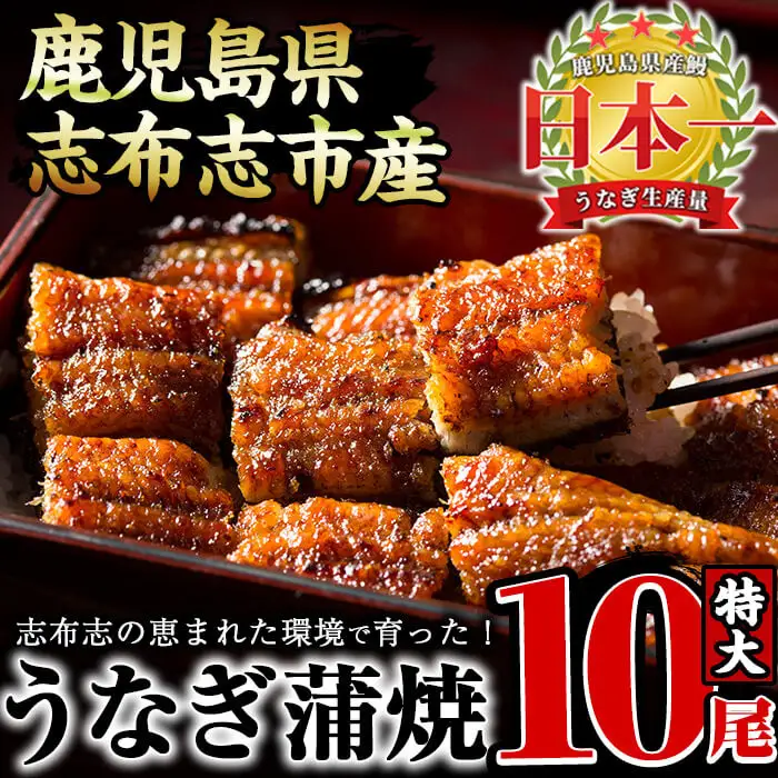 うなぎの大楠＜特大＞10尾セット計1.7kg(170g×10) うなぎ 鰻 ウナギ 10尾 国産 九州産 蒲焼き かばやき 冷凍 うな重 ひつまぶし タレ 山椒 真空パック ランキング 人気 g4-017