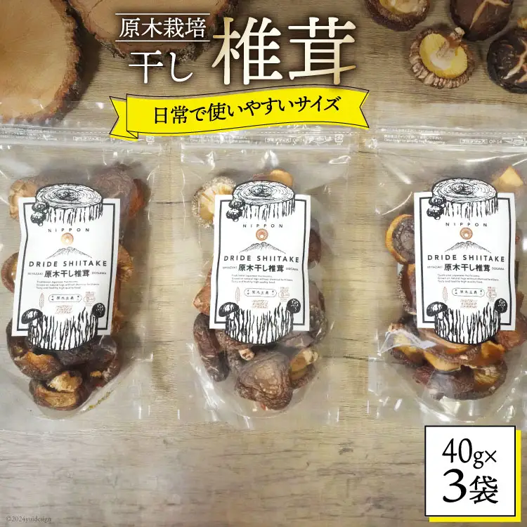 宮崎県産 乾燥 椎茸 40g×3袋 チャック袋入 [ HUTTE 宮崎県 美郷町 31ao0012]