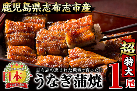 【数量限定】うなぎの大楠＜超特大＞1尾190g うなぎ 鰻 ウナギ 1尾 国産 九州産 蒲焼き かばやき 冷凍 うな重 ひつまぶし タレ 山椒 真空パック ランキング 人気 a2-075