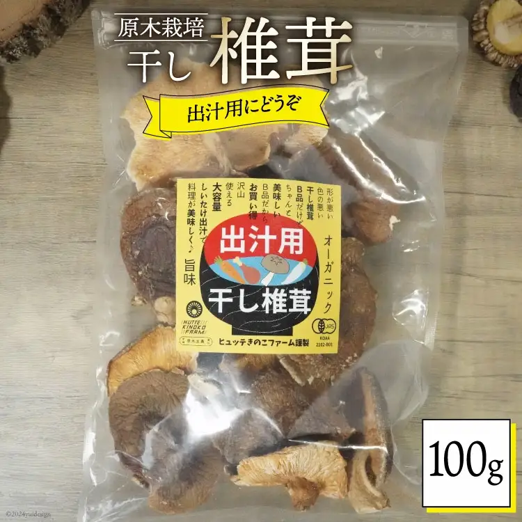 宮崎県産 乾燥 椎茸 100g×1袋 チャック袋入 [ HUTTE 宮崎県 美郷町 31ao0013]
