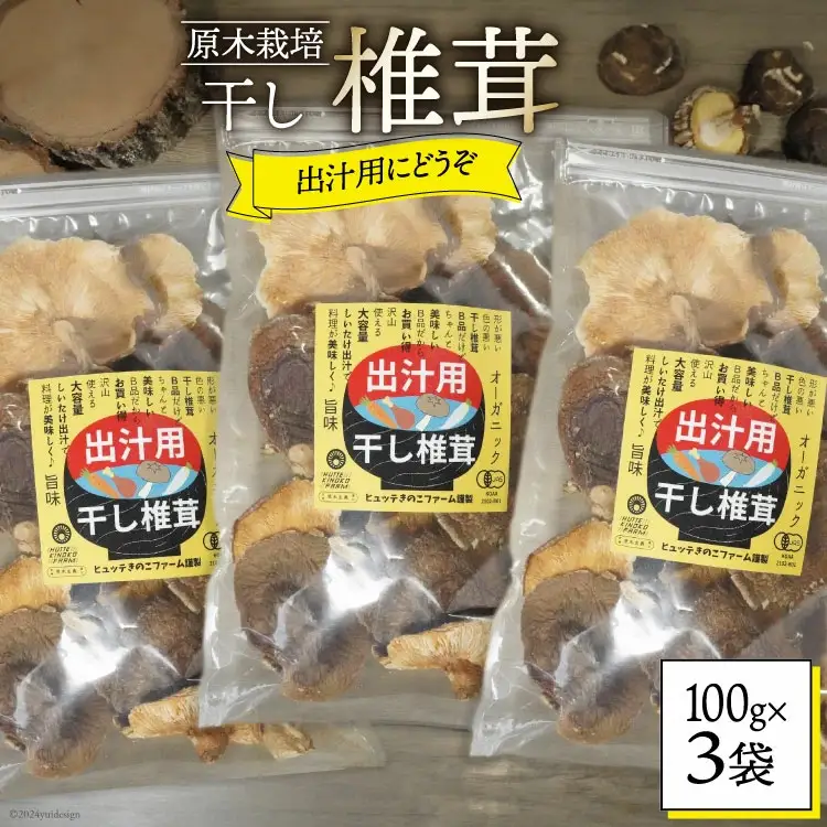 宮崎県産 乾燥 椎茸 100g×3袋 チャック袋入 [ HUTTE 宮崎県 美郷町 31ao0014]