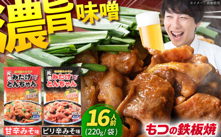 岐阜県産豚もつの鉄板焼「みたけとんちゃん」2種セット（16人前）[AVAA002]おかず 冷凍