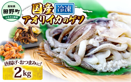 アオリイカ ゲソ 500g×4パック 2kg 