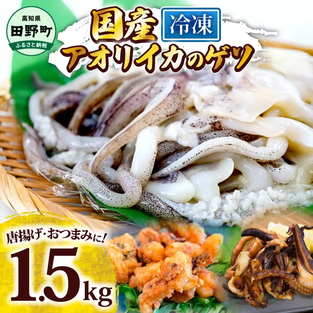 アオリイカ ゲソ 500g×3パック  1.5キロ