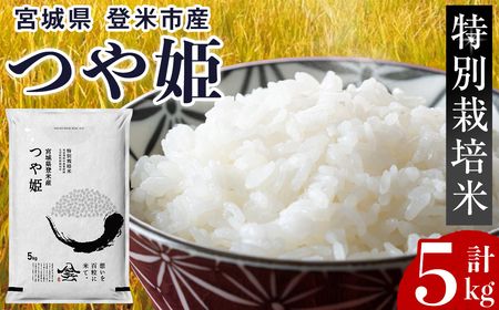 ≪令和7年産≫ 特別栽培米 つや姫 5kg (5kg×1袋)  登米市産 お米 おこめ 米 コメ 白米 ご飯 ごはん おにぎり お弁当 【登米ライスサービス株式会社】tm154