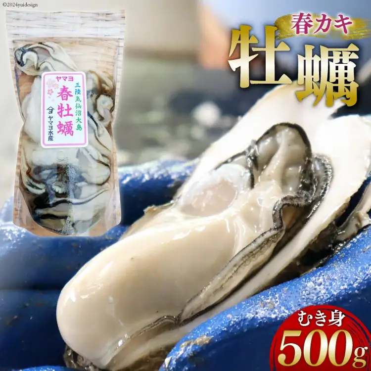 【期間限定発送】ヤマヨ水産の牡蠣 生食用 むき身 500g 《5月前半～出荷》 [気仙沼市物産振興協会 宮城県 気仙沼市 20565237]