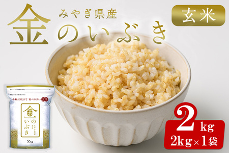 宮城県産 金のいぶき 2kg 玄米 お米 おこめ 米 コメ ご飯 ごはん おにぎり お弁当 ブランド米 宮城米【株式会社パールライス宮城】ta391