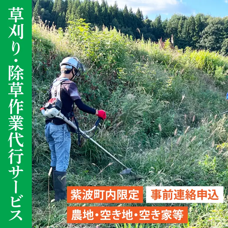 DQ001 【要事前連絡】草刈り、除草作業サービス（農地、空き地、空き家等）