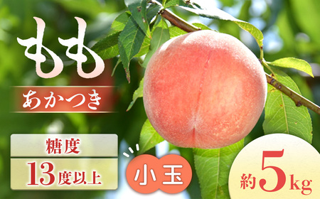 もも あかつき 約5㎏ 桃 小玉