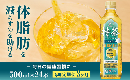 お茶 定期便 3ヶ月 伊右衛門 特茶 ジャスミン 500ml×24本 サントリー トクホ 定期 3回