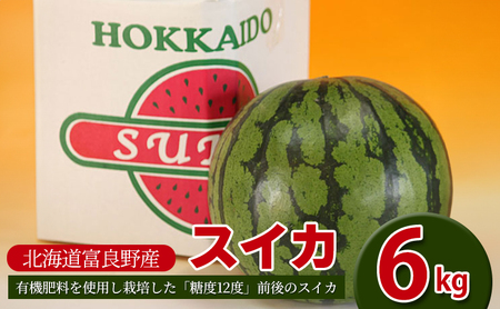 【2026年夏発送】スイカ 2L 1玉 ≪6kg以上≫ 北海道 富良野市 フルーツ 果物 すいか