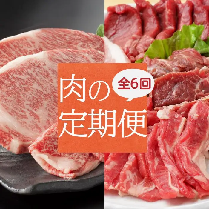 丸福 肉の定期便 【6回】｜牛肉定期便【Z029】