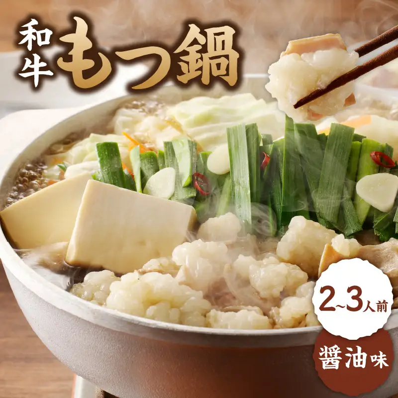 国産和牛もつ鍋（醤油味）2～3人前 ちゃんぽん麺 もつ鍋【B072】