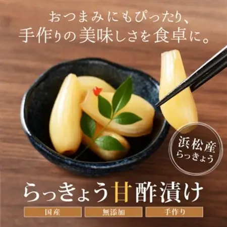 らっきょう甘酢漬け 静岡県浜松産 110g×5袋セット_惣菜・加工品  漬物 _【配送不可地域：離島】【1482872】
