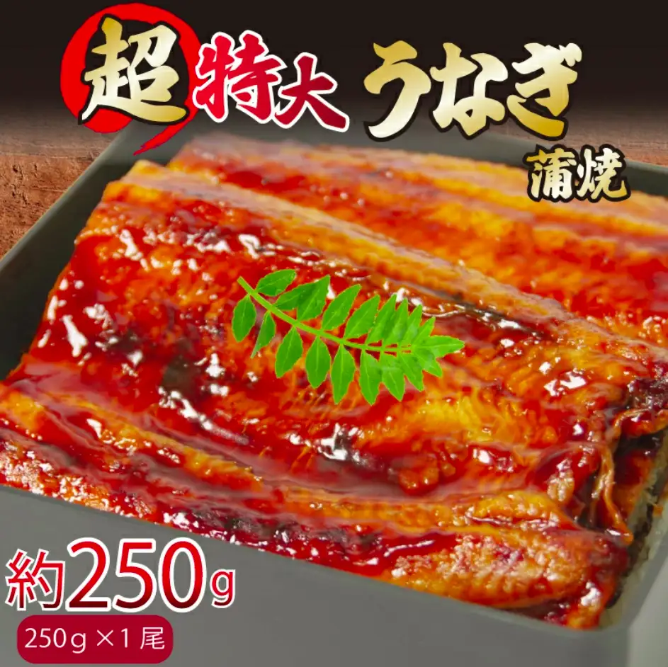 うなぎ 蒲焼 特大 1尾 約250g うなぎ