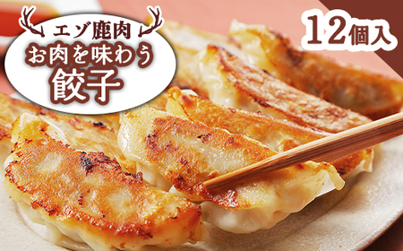 エゾ鹿肉 お肉を味わう餃子 12個入【3001301】