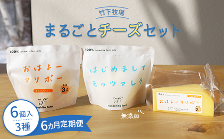 竹下牧場 takeshita farm【定期便６ヶ月】まるごとチーズセット 計560g【2400302】