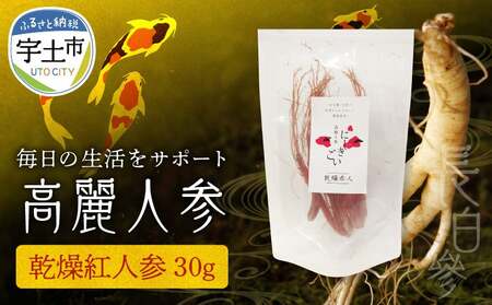 高麗人参(高麗紅人参30ｇ) _U128-0011