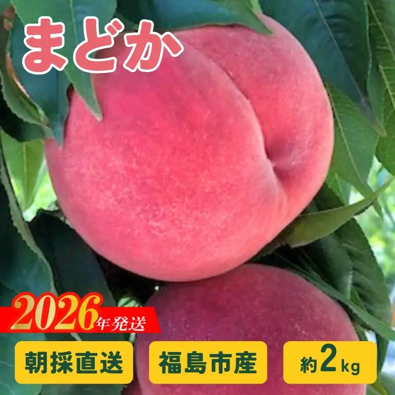 No.2876 朝採り直送！福島の桃「まどか」約2kg 【2026年発送】