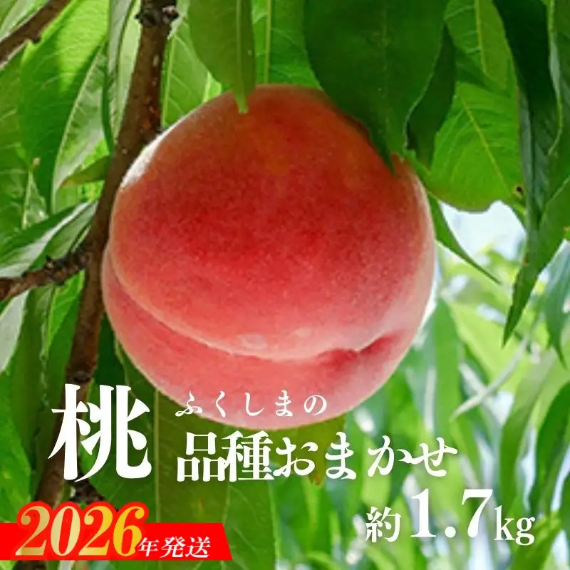 No.2869 もも（品種おまかせ）約1.7kg【2026年発送】