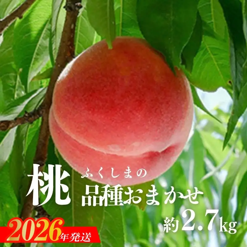 No.2870 もも（品種おまかせ）ご家庭用　約2.7kg【2026年発送】