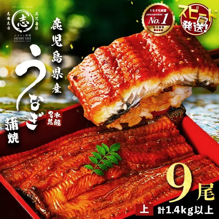 鹿児島県産うなぎ蒲焼 名水慈鰻 上9尾(1尾160g以上)＜計1.4kg以上＞ e0-060