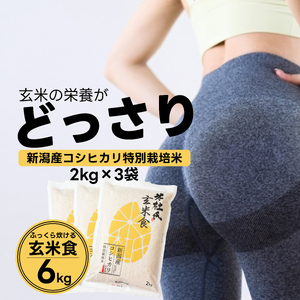 【令和7年産】【炊飯器で普通に炊ける玄米】 ふっくら玄米食 6kg（2kg×3） 新潟県 阿賀野市産 米杜氏 壱成 特別栽培コシヒカリ 1H31023