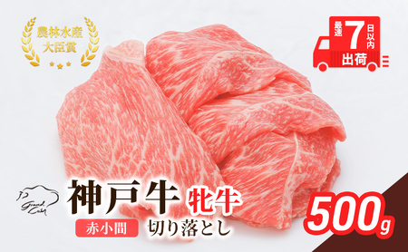 【最短7日以内発送】 神戸ビーフ 神戸牛 牝 切り落とし 赤小間 500g 川岸畜産 すき焼き 牛丼  冷凍 肉 牛肉 すぐ届く お肉 和牛 食材 グルメ ブランド牛 日本産 国産 夕飯 晩御飯 夜ごはん