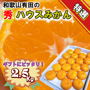 特撰品 有田のハウスみかん 赤秀 2.5kg 化粧箱入り (S～Lサイズおまかせ)_BD7007n 2026年7月発送