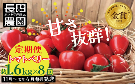 【先行受付!!】11月～6月毎月発送　幻のミニトマト　トマトベリーの定期便　8回コース【個数限定】 野菜ソムリエサミット 金賞 受賞 長田農園 産地直送 トマト とまと 野菜 やさい フルーツ サラダ 濃厚 甘い ご褒美 プレゼント 美容 健康 リピート多数 人気 高評価 数量限定 碧南市 H004-191