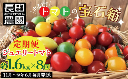 【先行受付】11月～6月毎月発送　まるで宝石箱!!ジュエリートマトの定期便　8回コース【個数限定】 長田農園 産地直送 カラフル トマト とまと 野菜 やさい フルーツ サラダ 濃厚 甘い ご褒美 プレゼント 美容 健康 リピート多数 人気 高評価 先行受付 数量限定 碧南市 H004-192