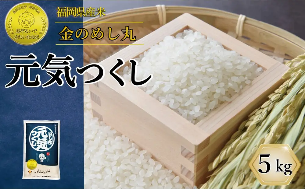 令和7年米 福岡県産 米 金のめし丸元気つくし 5kg | 精米 お米 こめ 白米 ライス ブランド米