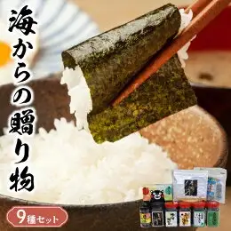佐田海苔店 海からの贈り物９種セット _U12-0032