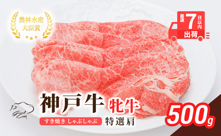 【最短7日以内発送】 神戸ビーフ 神戸牛 牝 特選肩 500g 川岸畜産 すき焼き しゃぶしゃぶ 焼肉 冷凍 肉 牛肉 すぐ届く お肉 和牛 食材 グルメ ブランド牛 日本産 国産 夕飯 晩御飯 夜ごはん