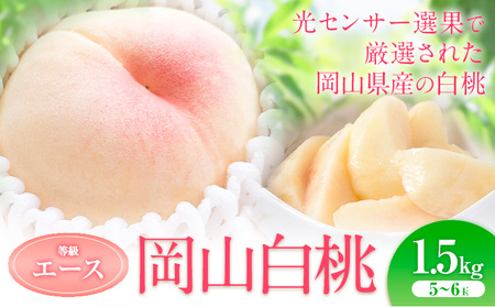 岡山の白桃 エース 約1.5kg(5～6玉) 【配送不可地域あり】
