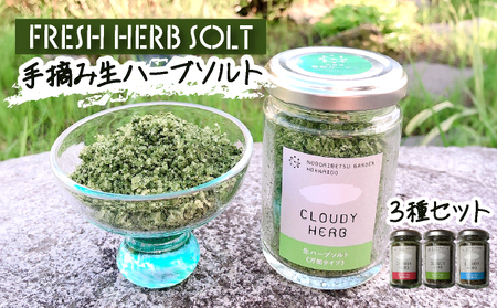 限定生産！手摘み生ハーブソルト詰め合わせ bh-0005