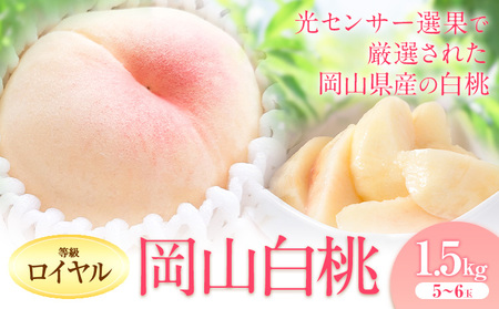 岡山の白桃 ロイヤル 約1.5kg(5～6玉) 岡山農業協同組合 鴨方支店 【配送不可地域あり】