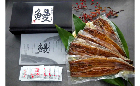 一色産うなぎ蒲焼 無頭(4〜6尾　合計600g以上)・T055-29