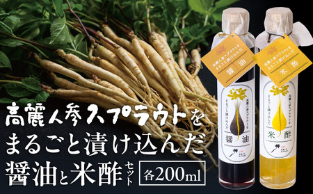 高麗人参スプラウトをまるごと漬け込んだ醤油と米酢セット