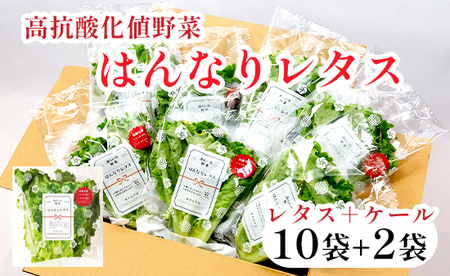 みらい乃野菜 はんなりレタス 10袋+2袋 ： レタス 水耕栽培 ケール