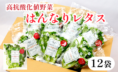 みらい乃野菜 はんなりレタス 12袋 ： レタス 水耕栽培