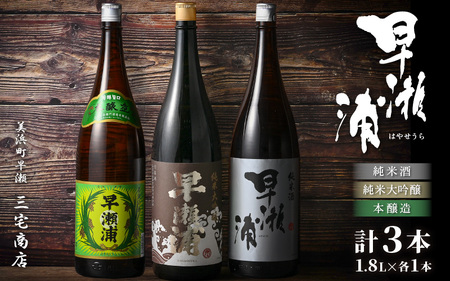 入手困難【早瀬浦】純米大吟醸 1800ml ＆ 純米酒 1800ml ＆ 本醸造 1800ml × 各1本ずつ セット【飲み比べ 日本酒 地酒 福井 美浜 早瀬 フルーティ 男酒 硬水 ミネラル 希少 ご褒美 家飲み 敬老の日 プレゼント】[m16-g001]