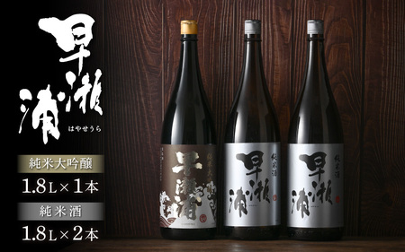 入手困難【早瀬浦】純米大吟醸 1800ml × 1本 ＆ 純米酒 1800ml × 2本 セット【飲み比べ 日本酒 地酒 福井 美浜 早瀬 フルーティ 男酒 硬水 ミネラル 希少 ご褒美 家飲み 敬老の日 プレゼント】[m16-h001]